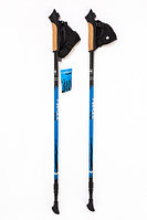 Карбоновые палки для скандинавской ходьбы Finpole Alpina 60% (синий, Финляндия)