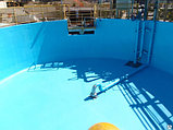 Гидроизоляция бассейнов, полимочевина, фото 5