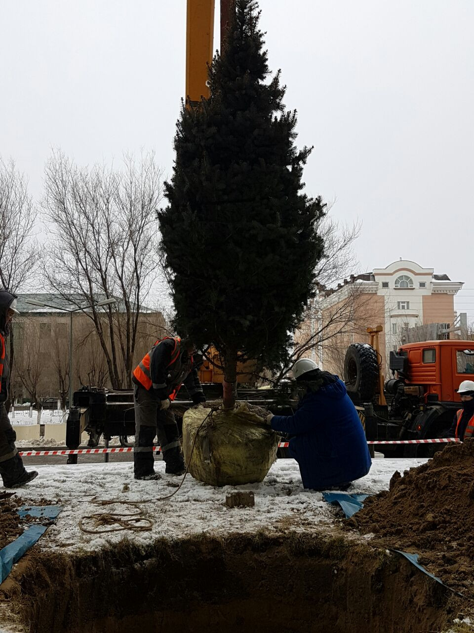 Зимняя посадка крупномеров в Атырау