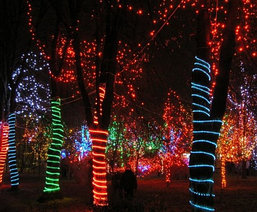 Обмотка, освещение деревьев светодиодной лентой, дюралайтом, фото 2