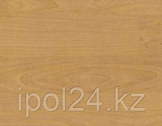 Спортивное покрытие Taraflex Multi-Use 6.2 Wood Natural