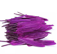 Перо 1шт, 15 см, цвет фиолетовый