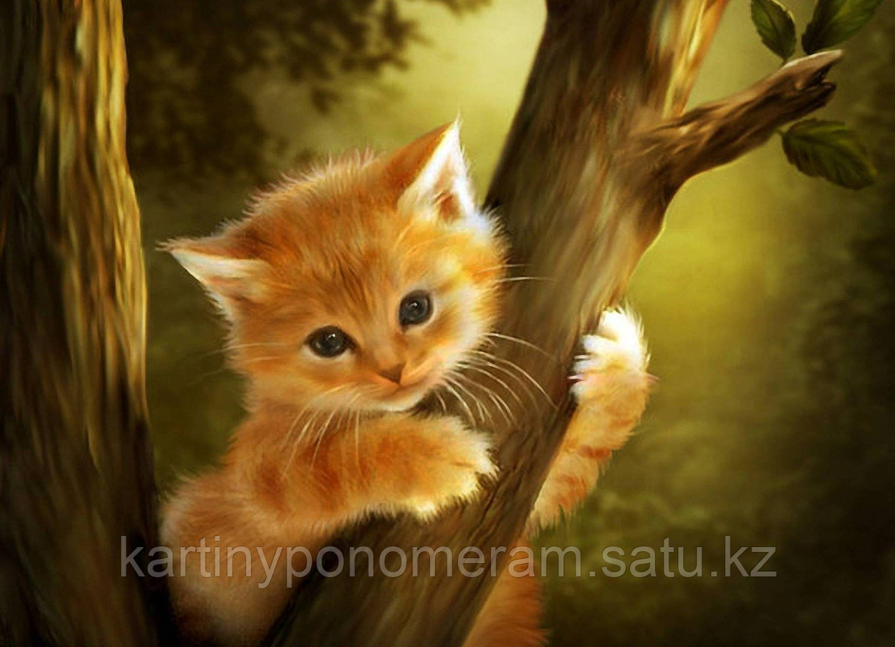 Картина по номерам "Котенок на дереве"