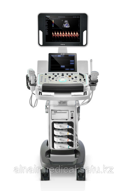 Желідегі Playboy порно шоуы