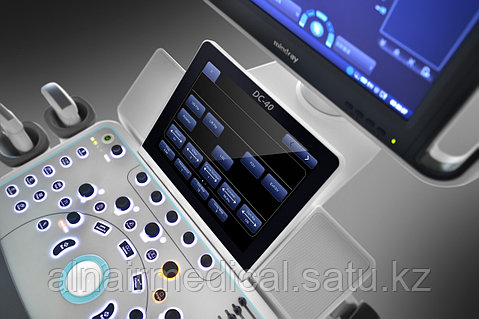 Жыныстық ультрадыбыстық бейне