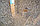 Сарыагаш, Санаторий "Ак Тилек" от 14900 тг, фото 10
