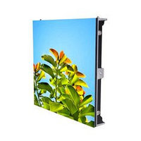 LED экран Р10 (арендный)
