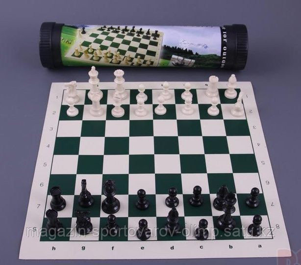 Шахматы в тубусе - фото 1 - id-p41713180