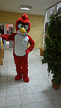 Ростовые куклы в Алматы. Angry Birds., фото 2