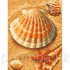 Картина по номерам 30*40 "Ракушки"