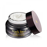 Мультифункциональный крем премиум-класса со слизью черной улитки Secret Key Black Snail Original Cream,50мл, фото 2