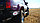 Расширители колесных арок TOYOTA LAND CRUISER 80, фото 6