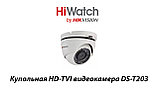 Внутренняя видеокамера HiWatch DS-T203 (Гарантия 3 года), фото 2