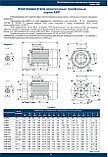 Электродвигатель АИР355М2 (250/3000) ЗАО "Элмаш" Воронеж, Россия, фото 2