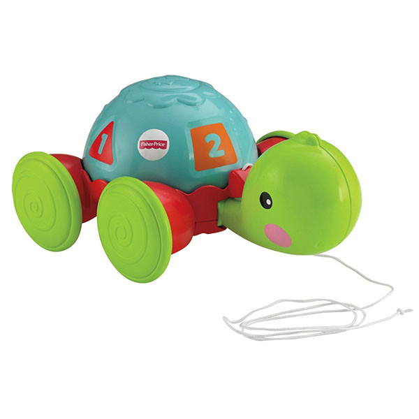 Каталка на веревке "Ученая черепашка" Fisher-Price Y8652