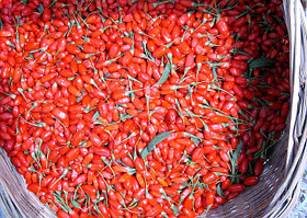 ГОДЖИ - 100% натуральная ягода из Тибета