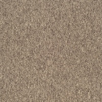 Ковровая плитка SKY (500х500)