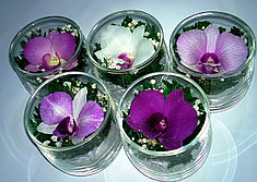 Живые цветы в стекле SSO