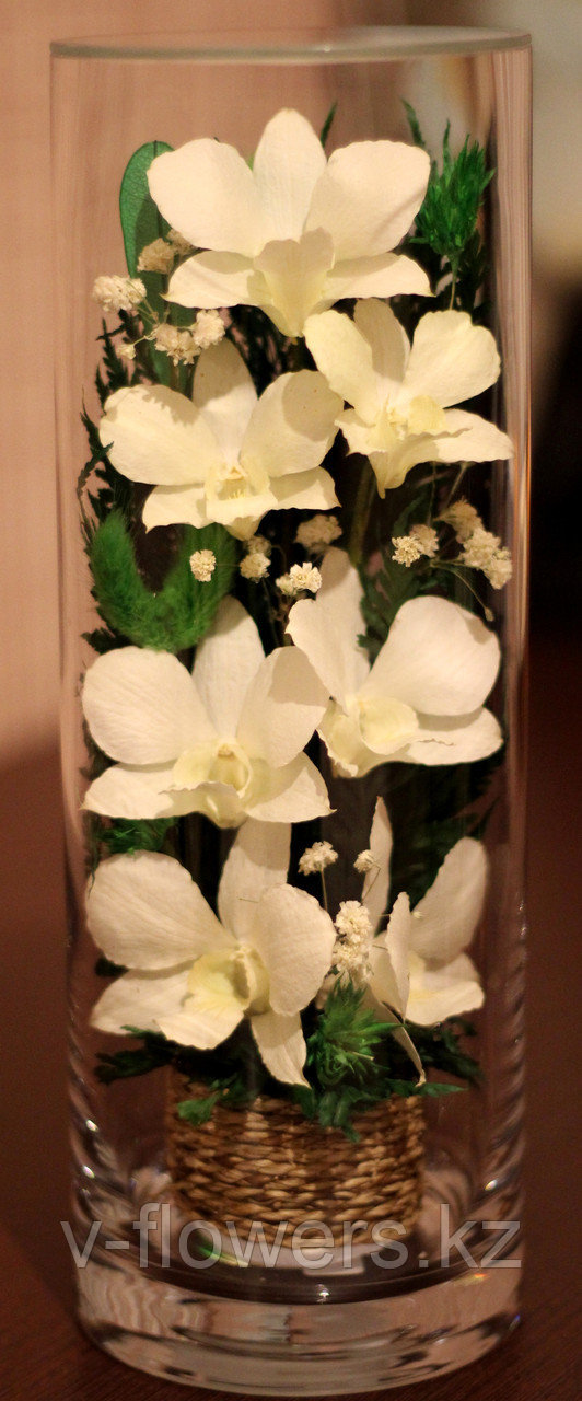 Живые цветы в стекле CLO-02 - фото 1 - id-p42292043