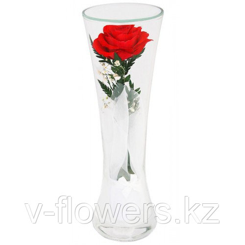 Живые розы 22 см в стекле CuHR