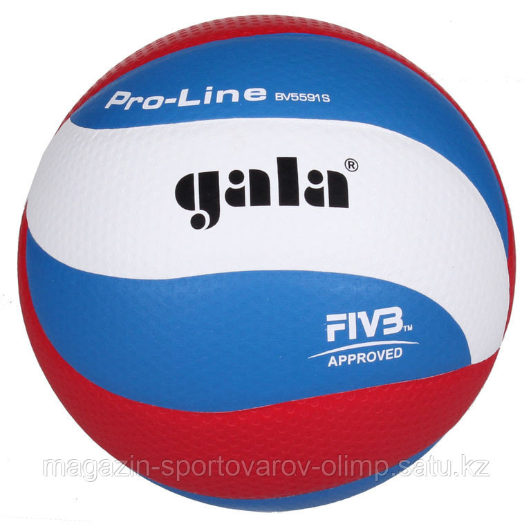 Мяч волейбольный Gala Pro-Line FIVB