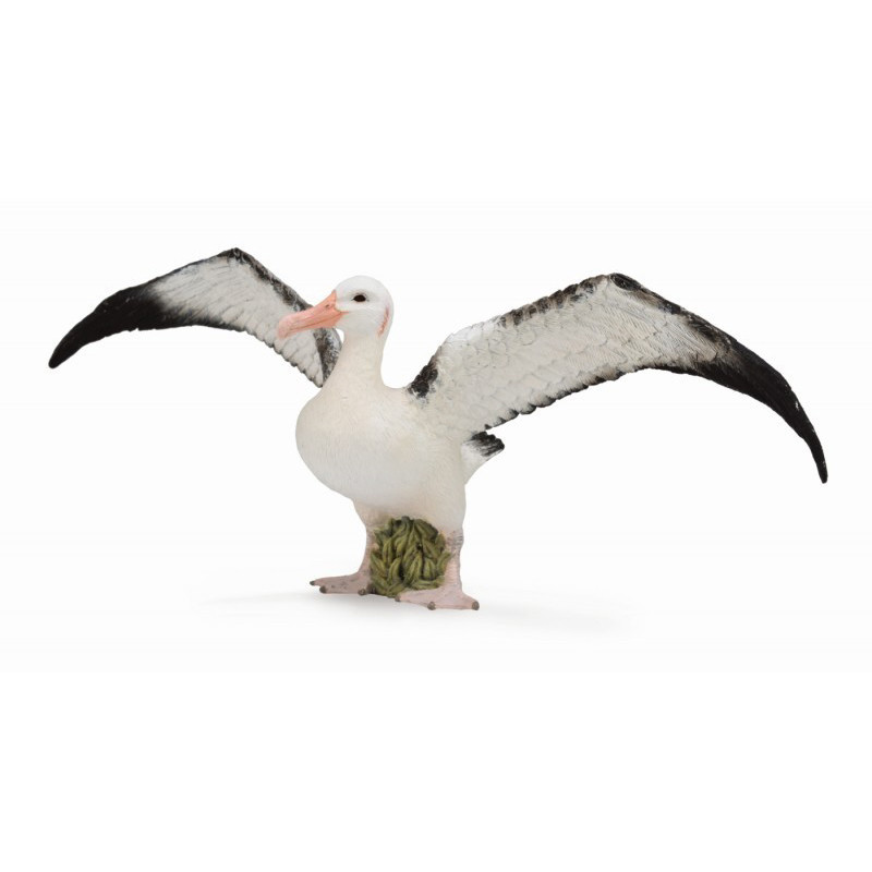 Collecta Фигурка Странствующий альбатрос, ширина 19 см