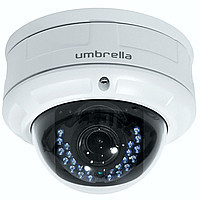 Антивандальная Мегапиксельная IP камера Umbrella N316
