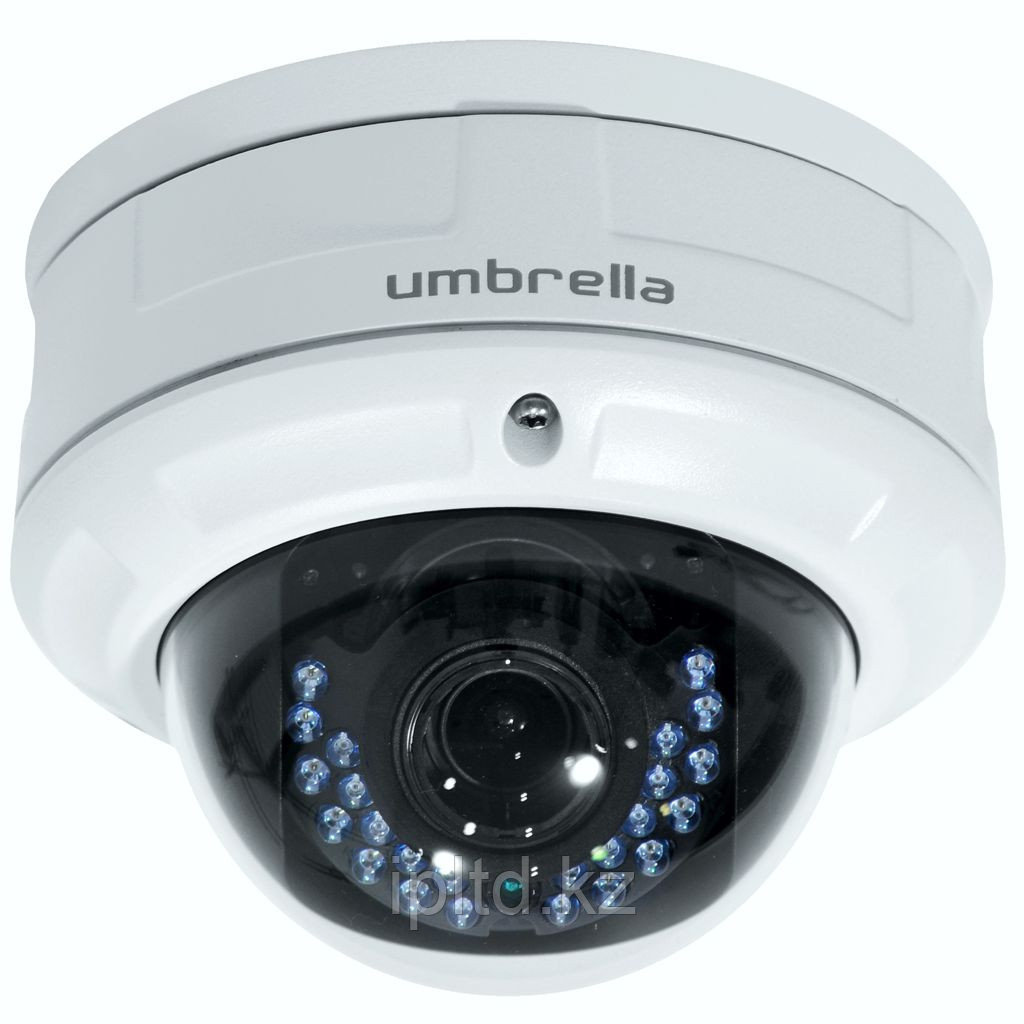 Антивандальная Мегапиксельная IP камера Umbrella N317