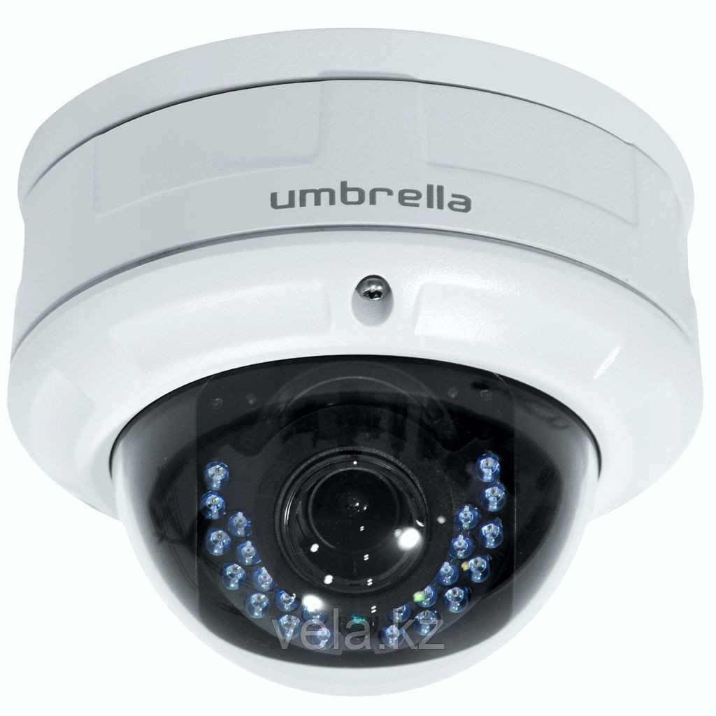 Антивандальная Мегапиксельная IP камера Umbrella D318