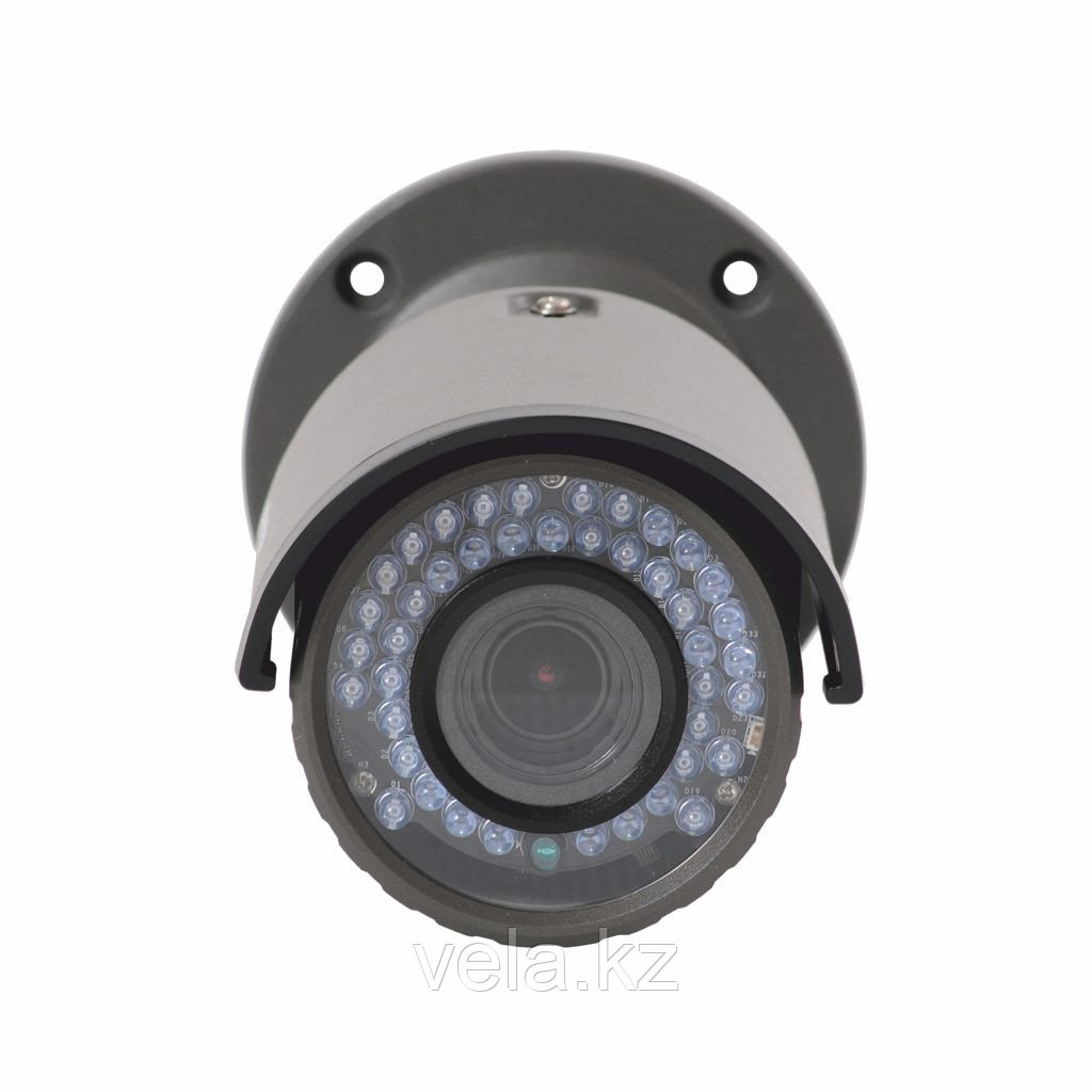 Антивандальная Мегапиксельная IP камера Umbrella X417