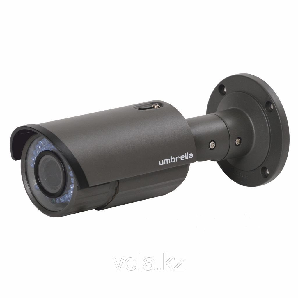 Антивандальная Мегапиксельная IP камера Umbrella X418