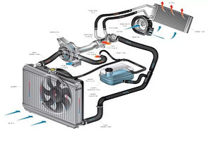 Система охлаждения Chevrolet Cruze 2008-2012 