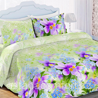 КПБ "Нежные цветы", Постельное белье евро двухспальное, 100% хлопок. Россия