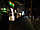 Обмотка, освещение деревьев светодиодной лентой, дюралайтом, фото 8