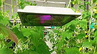 Фитосветильник для теплиц и домашних растений на настоящем кристале Bridgelux