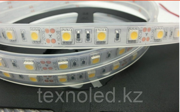 Светодиодная лента SMD 5050 60led 12V ip67 400Lm 7.4W (на 1 метр), фото 2