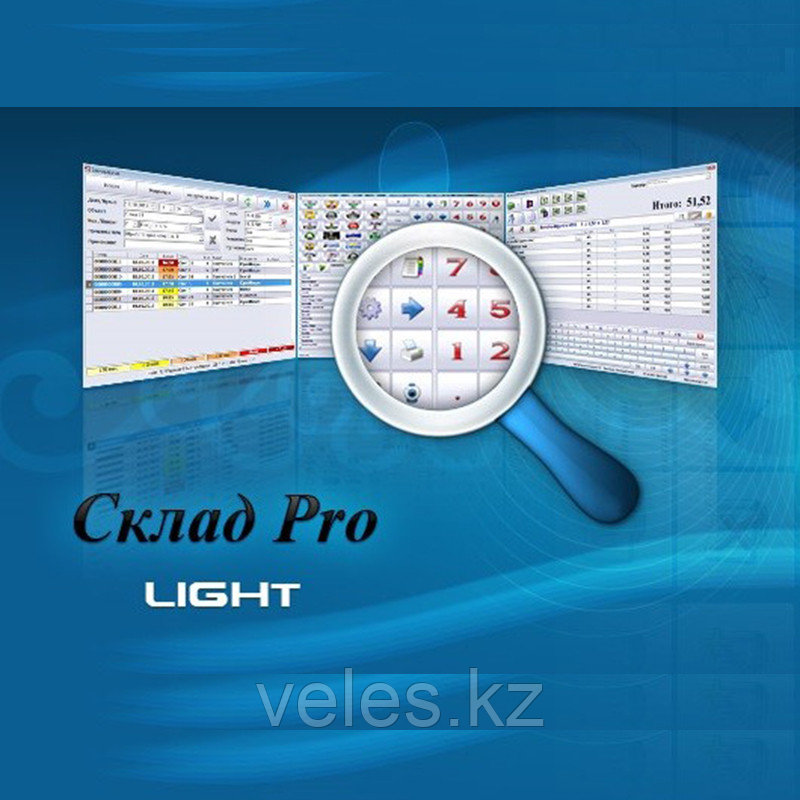 Microinvest Склад Pro Light Торговый объект