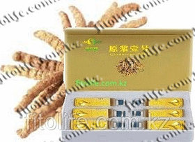 Жидкий кордицепс