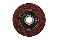 Круг лепестковый торцевой абразивный "Луга" для шлифования, 125 х 22, 23мм, зерно P60