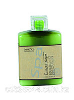 Шампунь c экстрактом эвкалипта 300 ml Dancoly SPA