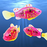 Интерактивная игрушка "Рыбка-робот" светящаяся ROBOFISH (Розовый), фото 7