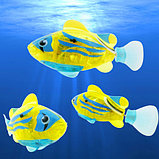 Интерактивная игрушка "Рыбка-робот" светящаяся ROBOFISH (Желтый), фото 10