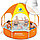 Детский каркасный бассейн Bestway 56193, 56432, Rectangular Frame Pool, размер 244 х 51 см, фото 3