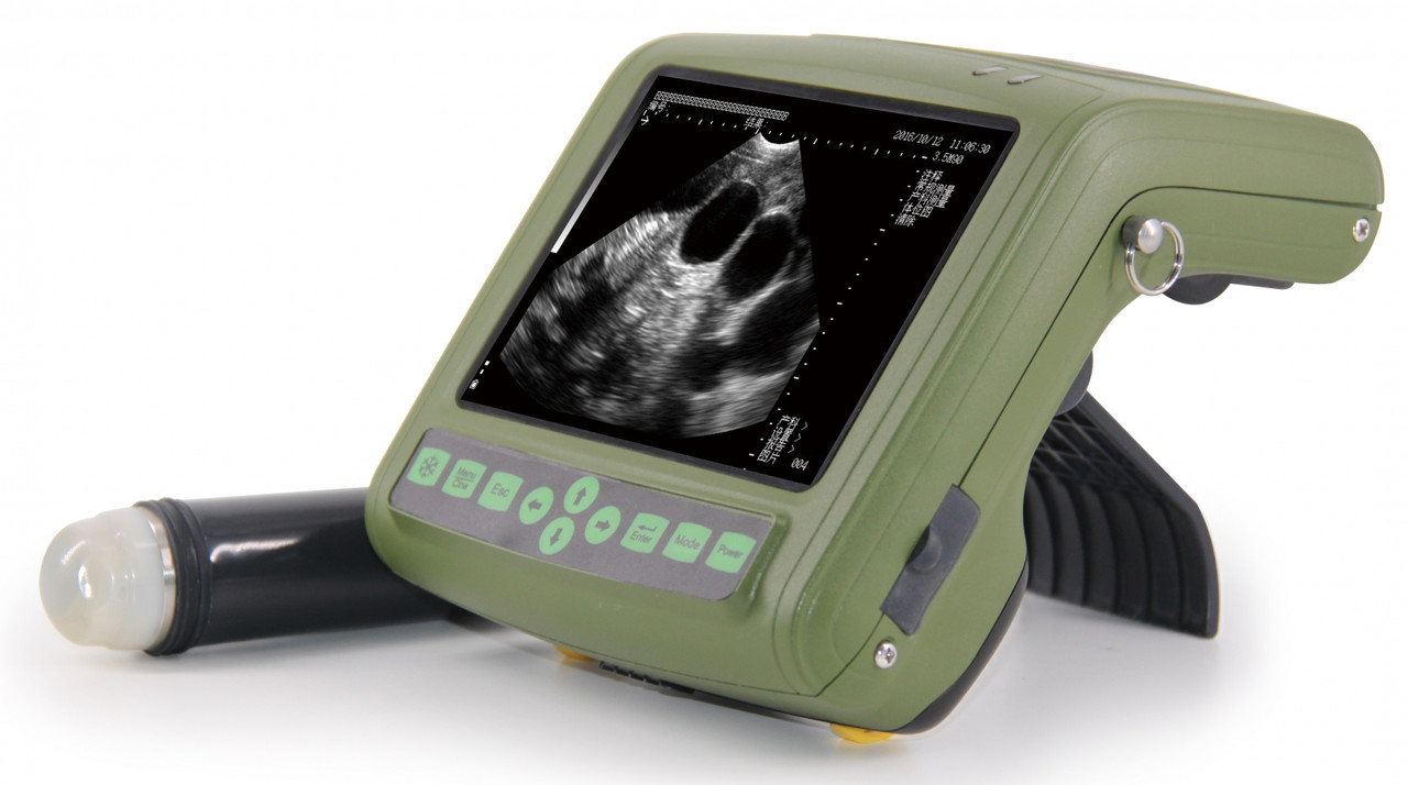 Узи-сканер для домашних животных MSU1plus (KAIXIN, КНР) - фото 1 - id-p43193981