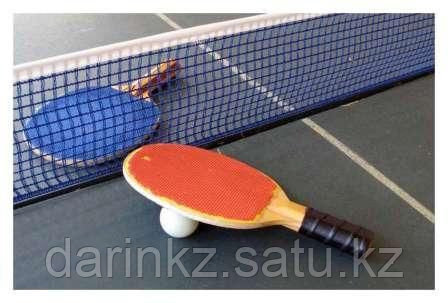 Теннис настольный в наборе: 2 ракетки и 3 мяча - фото 2 - id-p43212910