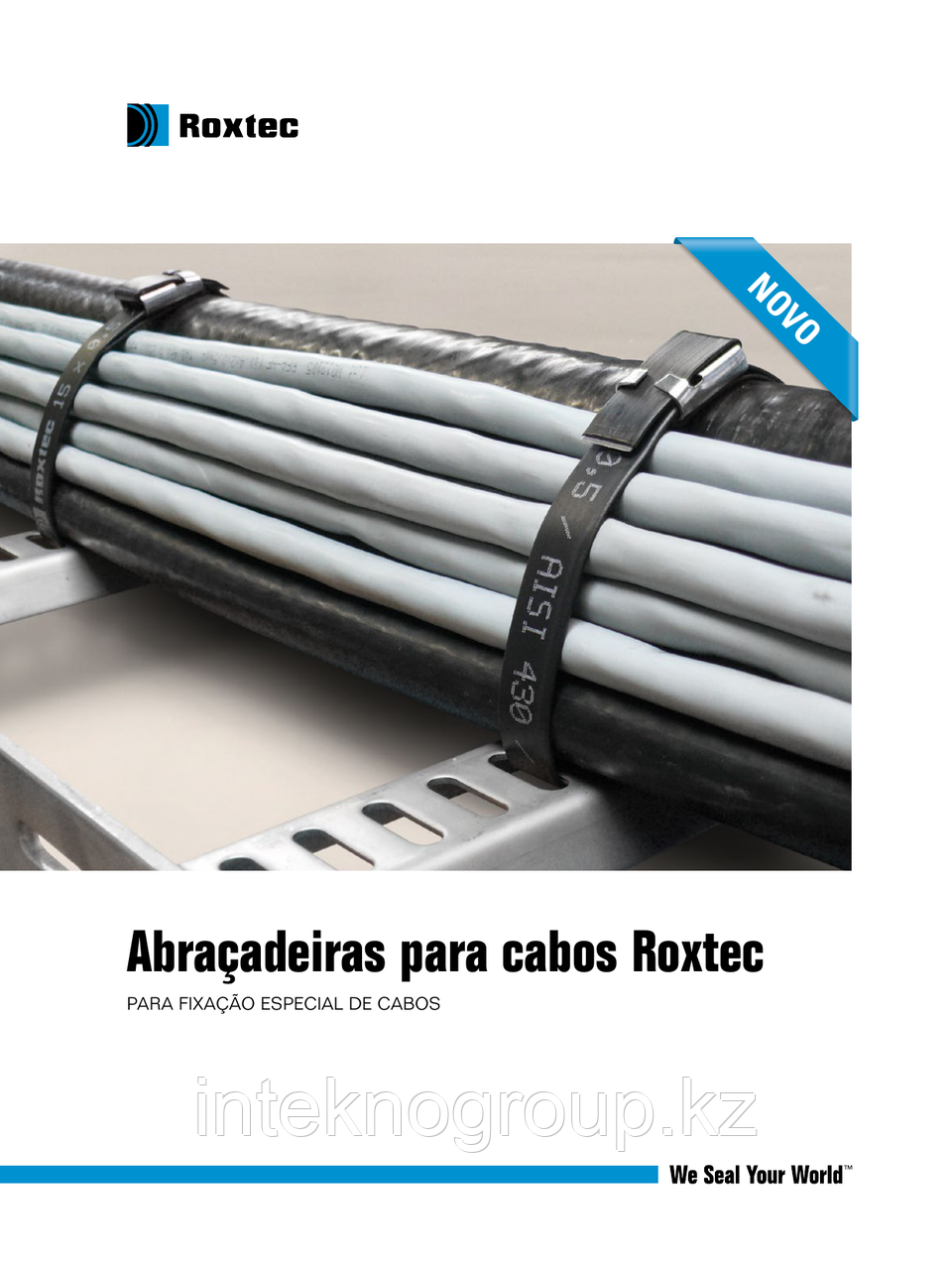 Roxtec Cable straps Strap 08x0,3 black/ss L=200 mm