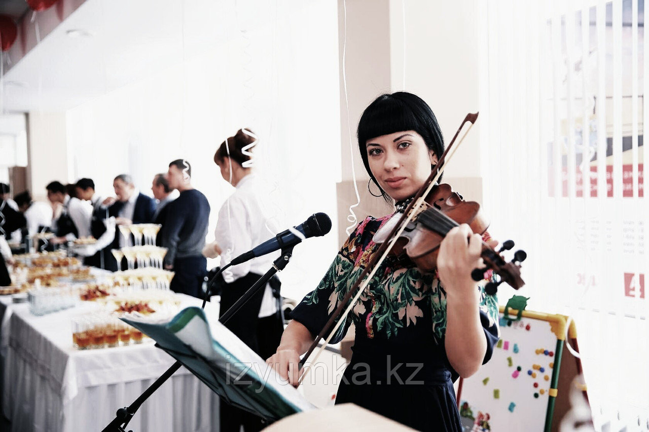 Профессиональная игра на скрипке в Павлодаре - фото 4 - id-p43422597