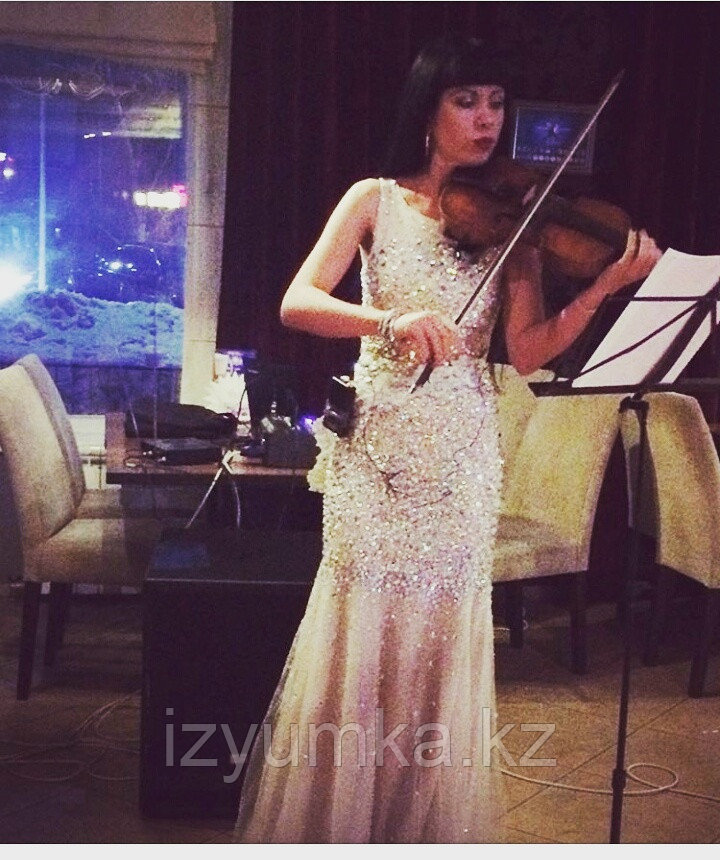 Романтические вечера в сопровождении скрипки в Павлодаре