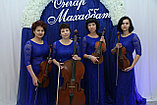 Струнный квартет на любое мероприятие в Павлодаре, фото 4