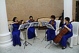 Музыкальное струнное шоу в Павлодаре, фото 4